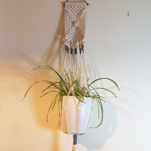 Load image into Gallery viewer, Geometric Macrame Plant Hanger With Colour Accents
