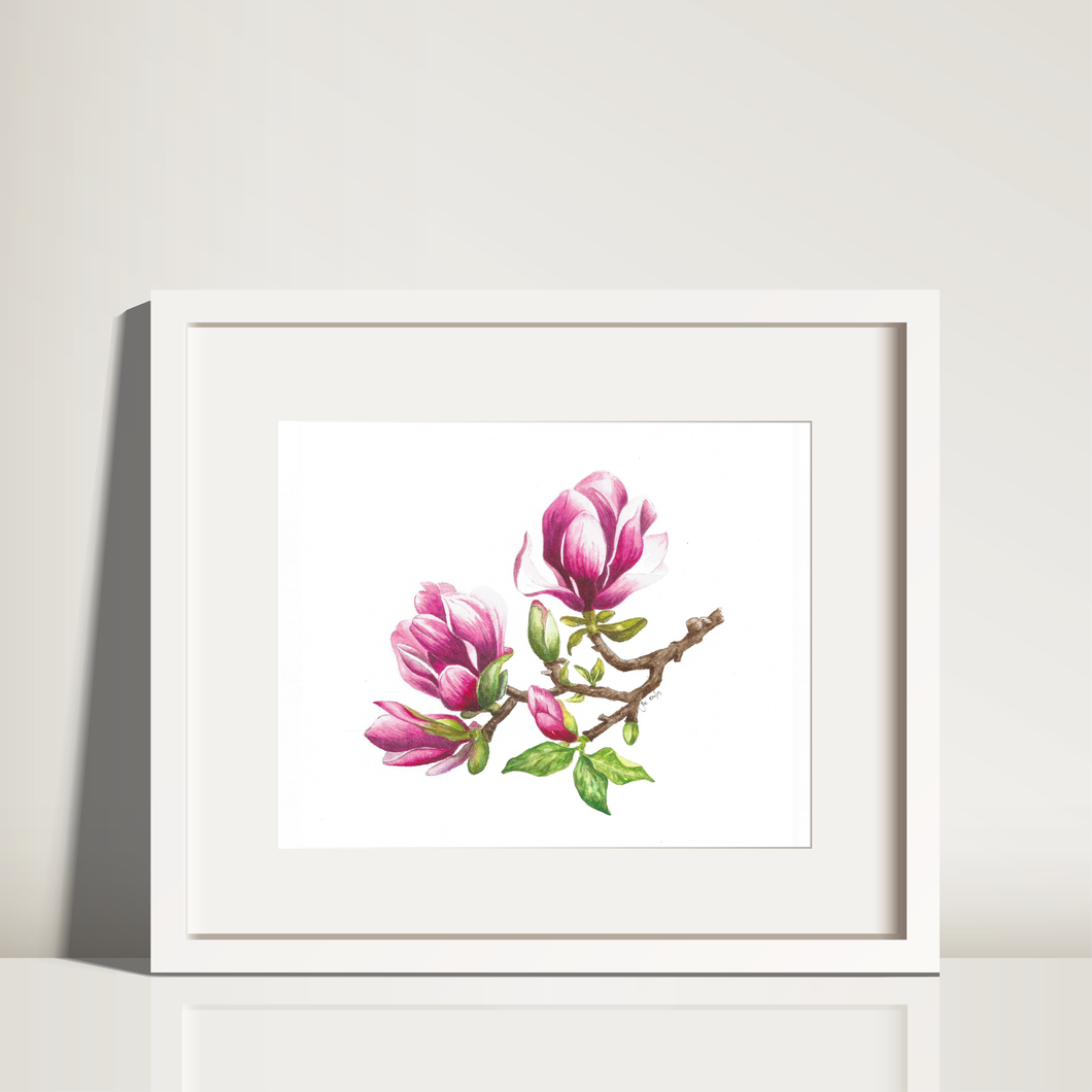 Magnolia Blooms Original Watercolor